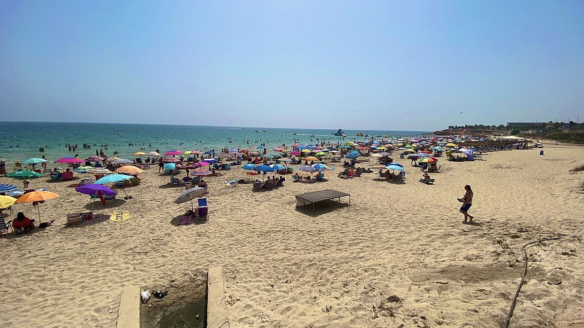 l_mil-palmeras-orihuela-costa-blanca-alicante-14-